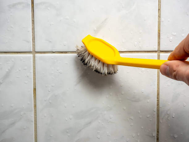 Best Professional Mold Removal  in Day Heights, OH
