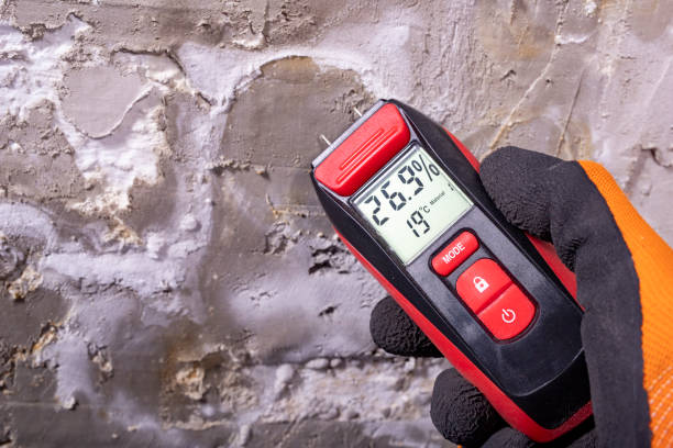 Certified Mold Removal in Day Heights, OH
